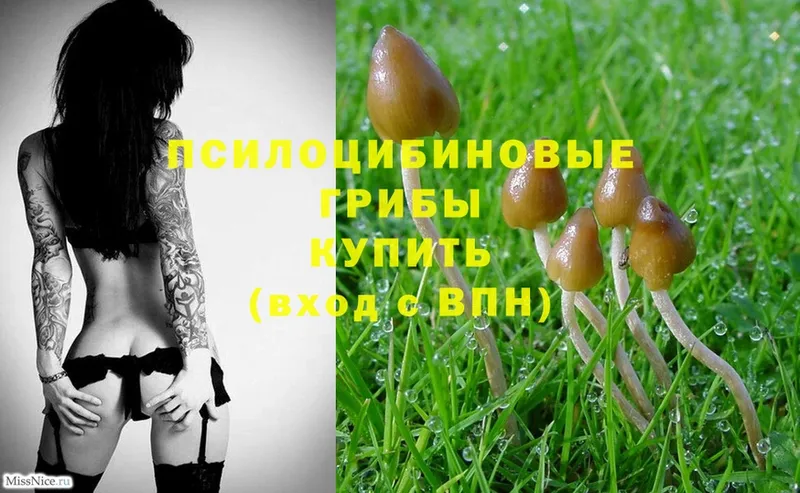 Галлюциногенные грибы Magic Shrooms  kraken ONION  Ермолино 